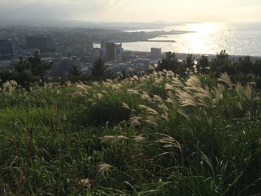Oh Happy Day Jeju Exterior foto